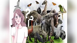 GK Quiz : असा कोणता जीव आहे ज्याला डोकं आहे पण पाय नाही, डोळे आहेत पण कान नाही?