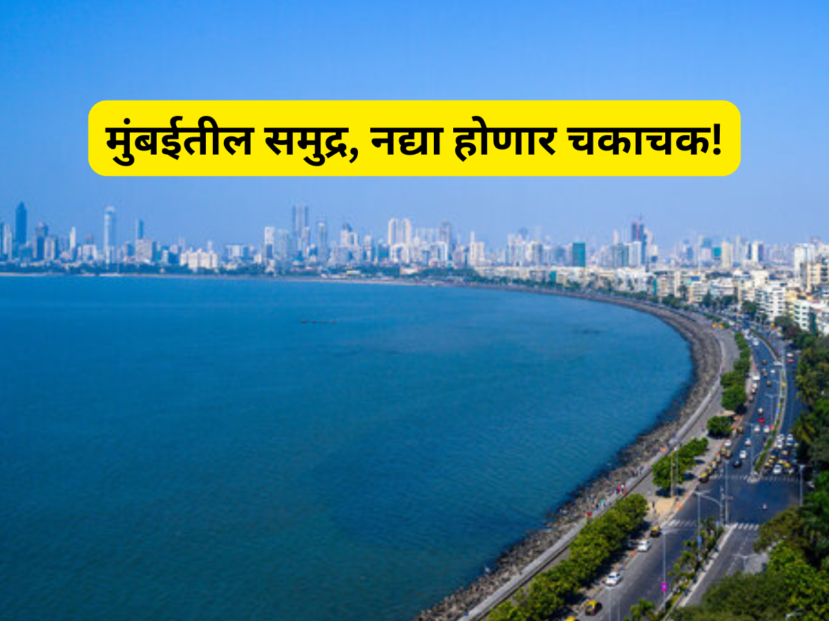 ऐतिहासिक निर्णय! मुंबईतील नद्या आणि समुद्र होणार एकदम चकाचक! मुख्यमंत्र्यांनी सांगितले प्लानिंग ऐतिहासिक निर्णय! मुंबईतील नद्या आणि समुद्र होणार एकदम चकाचक! मुख्यमंत्र्यांनी सांगितले प्लानिंग