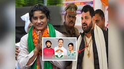 'आधी कुस्ती आणि आता काँग्रेसचा सत्यानाश', निवडणुकीत विनेश फोगटच्या विजयावर बृजभूषण सिंहची पहिली प्रतिक्रिया 