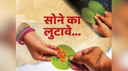 Dasara 2024 : दसऱ्याला 'सोनं' म्हणून आपट्याची पानंच का लुटतात? धार्मिक आणि वैज्ञानिक महत्त्व जाणून घ्या