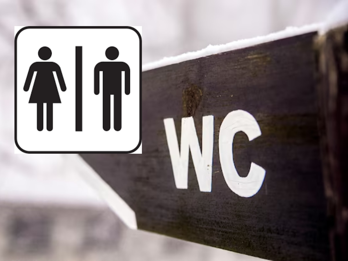 सार्वजनिक बाथरुममध्ये WC का लिहीतात? 99% लोकांना माहितच नाही  title=