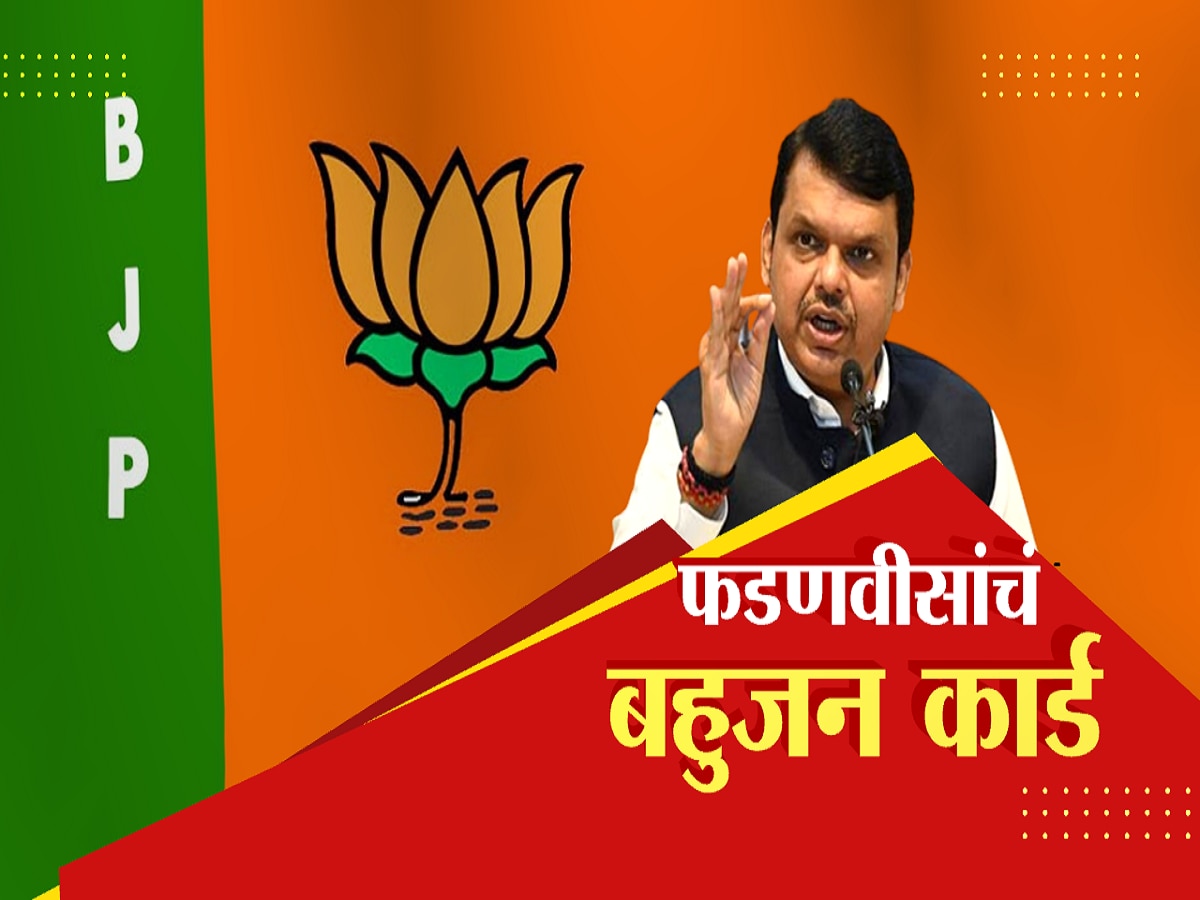 भाजपकडून फडणवीसांना बहुजनांचा नेता म्हणून प्रोजेक्ट करण्याचा प्रयत्न; जाहिरातबाजीनं प्रतिमा उजळणार का?
