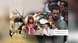 काळवीटांसाठी नेत्याचा जीव घेतला आता टार्गेट सलमान... पण बिष्णोईंसाठी काळवीट एवढं महत्त्वाचं का?