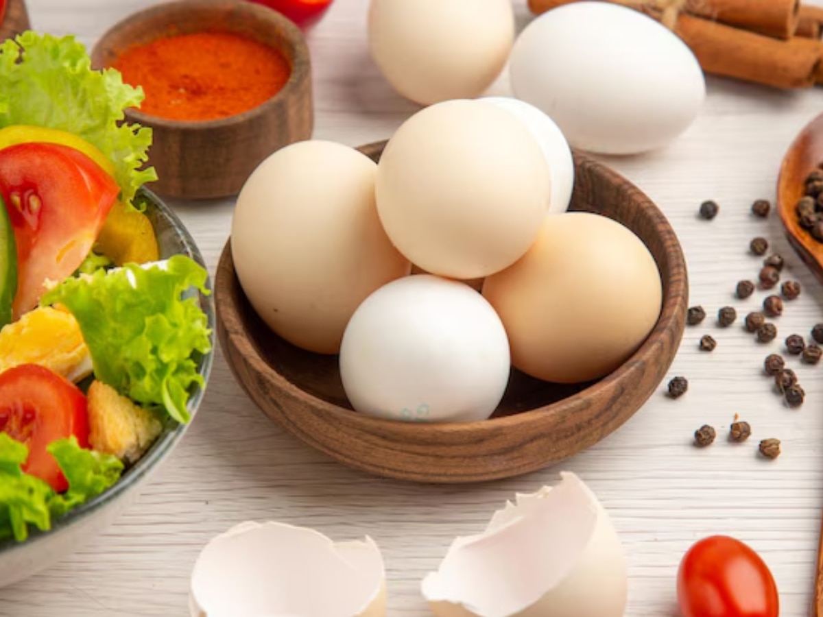 chicken or the egg what comes first scientists gives answer Marathi News