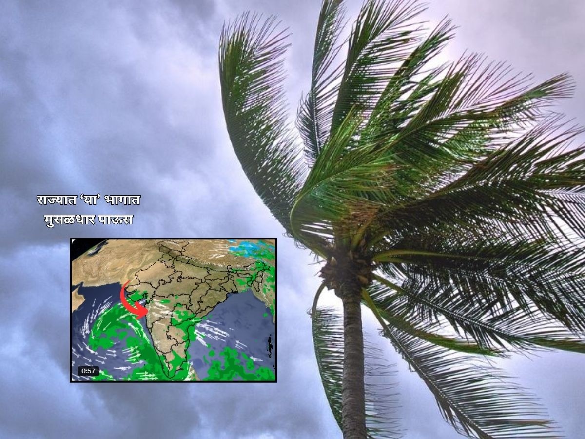 Maharashtra Weather : राज्यात 3 दिवस पावसाचा जोर वाढणार; IMD कडून यलो अलर्ट  title=