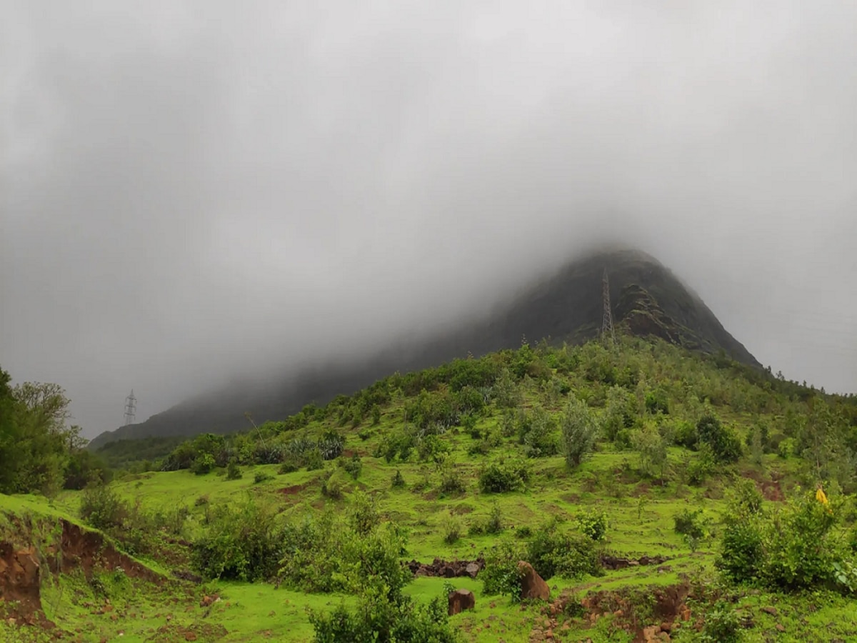 Maharashtra Weather News : ऑक्टोबर हिटमध्ये करा पावसाळी सहलीचा बेत; राज्याच्या 'या' भागांमध्ये वीजांच्या कडकडाटासह मुसळधार  title=