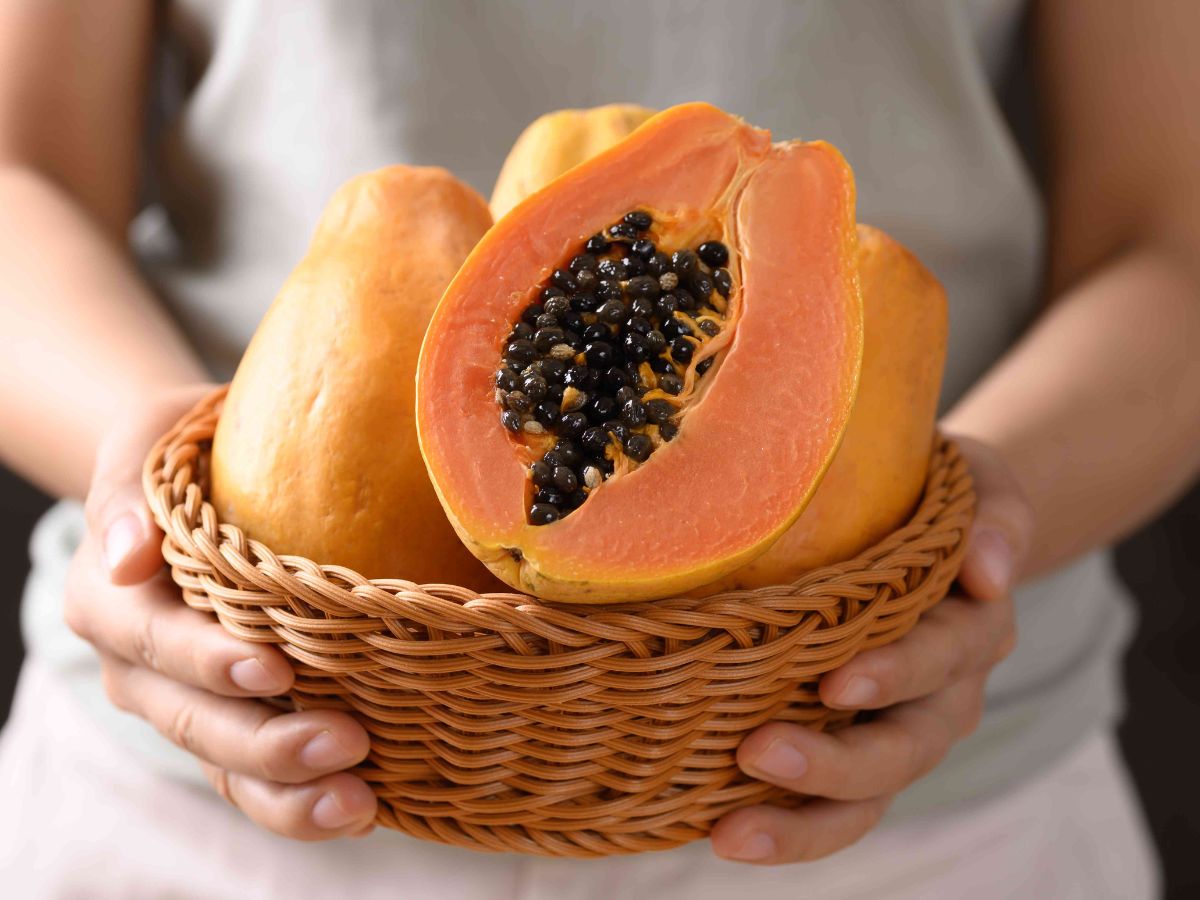 टाकाऊ म्हणून फेकून देता? पण हजारो रुपयांना विकला जातो पपईचा हा भाग