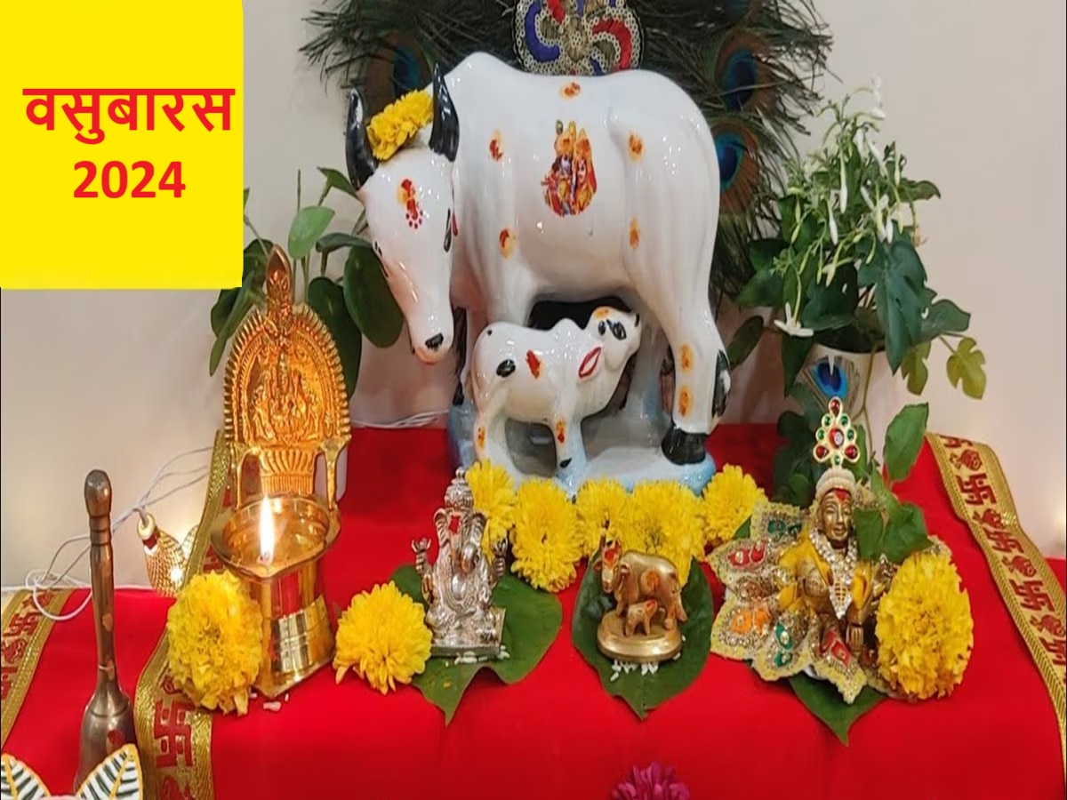 Vasubaras 2024 : दिवाळीचा पहिला दिवस वसुबारस कधी? जाणून घ्या तिथी, शुभ मुहूर्त आणि गाय वासराचं महत्त्व  title=