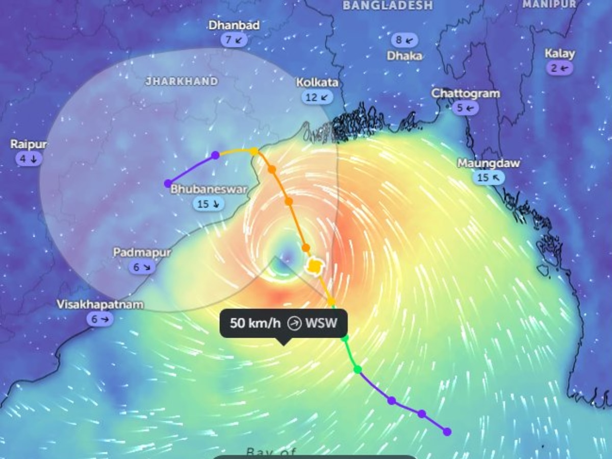 'दाना' चक्रीवादळाच्या रौद्र रुपामुळे 300 ट्रेन रद्द, विमानसेवा देखील प्रभावित  title=