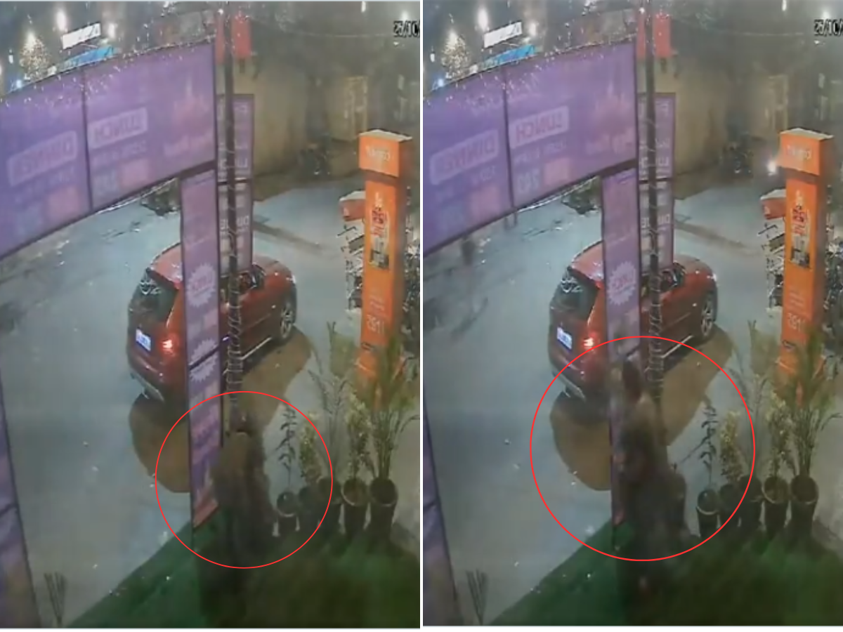 सोन्याचा कटोरा दिला तरी भीकच मागणार! 40 लाखांच्या BMW वालीने कुंड्या चोरल्या सोन्याचा कटोरा दिला तरी भीकच मागणार! 40 लाखांच्या BMW वालीने कुंड्या चोरल्या