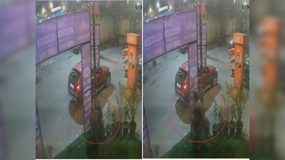 सोन्याचा कटोरा दिला तरी भीकच मागणार! 40 लाखांच्या BMW वालीने कुंड्या चोरल्या 