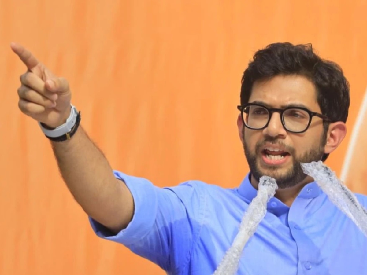 Maharashtra Assembly Election Aaditya Thackeray and Amit Thackeray Property networth