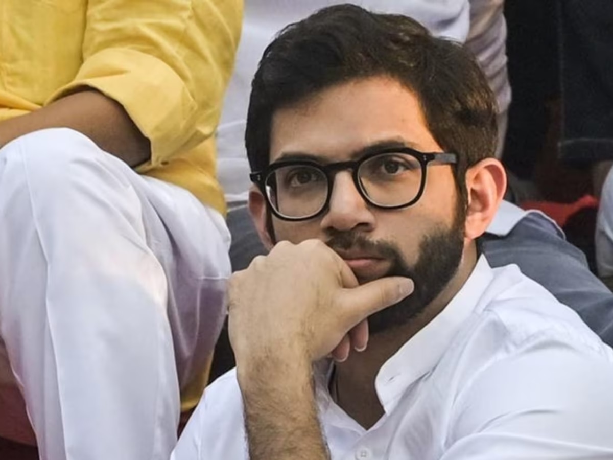 Maharashtra Assembly Election Aaditya Thackeray and Amit Thackeray Property networth