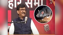 तुरुंगात असताना संजय राऊतांनी उंदरांना कोणती नावं दिली होती? जाहीर सभेत सांगितला मजेशीर किस्सा 
