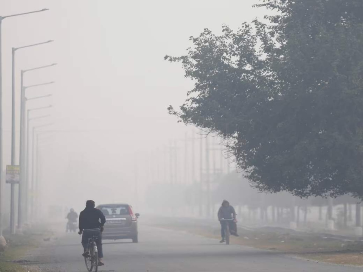 Maharashtra Weather : राज्यात थंडीची चाहूल! पण अजूनही काही ठिकाणी बरसणार पाऊस; IMD चा इशारा  title=