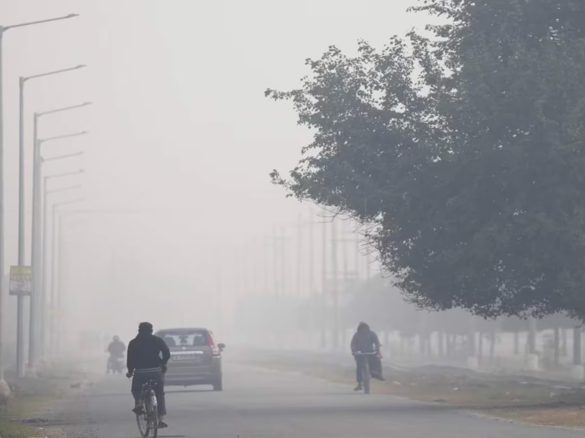 Maharashtra Weather : पुढील 5 दिवसात कसं असेल वातावरण? गुलाबी थंडी की पाऊस? title=