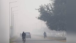 Maharashtra Weather : पुढील 5 दिवसात कसं असेल वातावरण? गुलाबी थंडी की पाऊस?