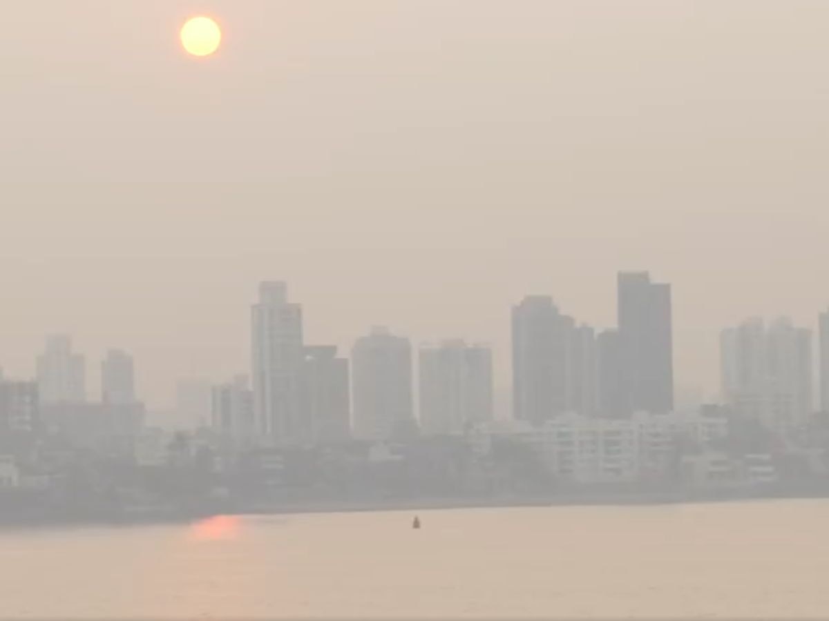 Maharashtra Weather Update : राज्यात कुठे थंडी, तर कुठे धुकं.. कसं असेल हवामान?  title=