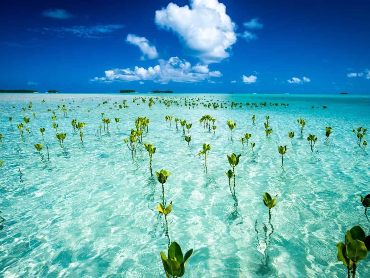 Smallest countries in the world Tuvalu sinking into the ocean