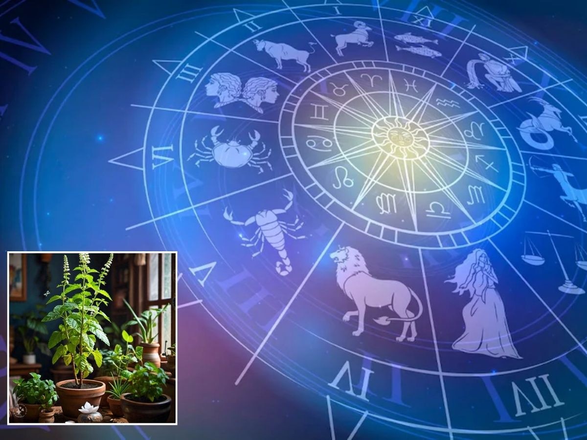 Horoscope : तुळशी विवाहाला मिथुन, कर्क आणि कन्या राशीच्या लोकांना मिळणार धनलाभ; घरात राहील सुख, समृद्धी आणि ऐश्वर्य नांदेल  title=