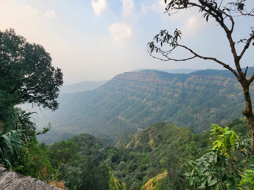 राज्याचं किमान तापमान 11 अंशांवर; कुठे पडलीये कडाक्याची थंडी? मुंबईत मात्र उकाडा कायम