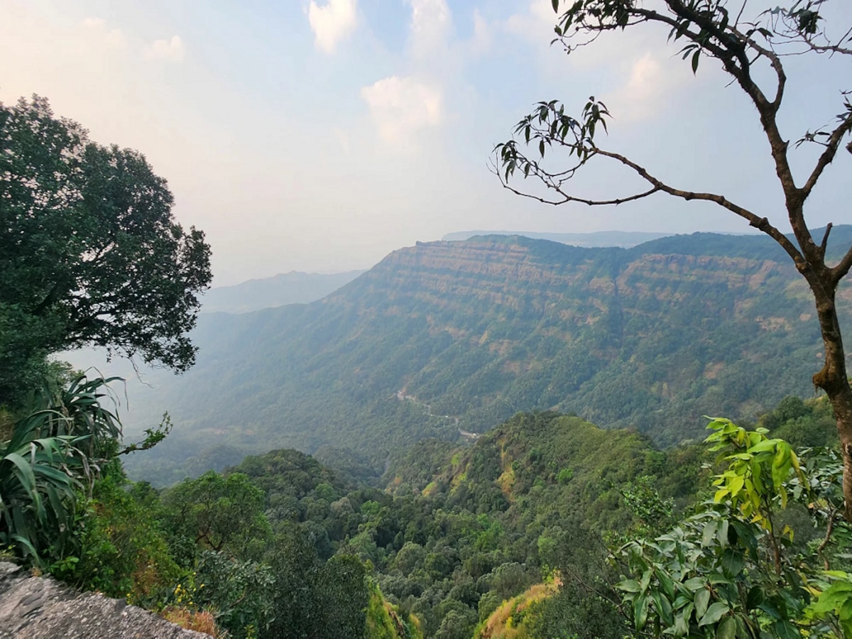 राज्याचं किमान तापमान 11 अंशांवर; कुठे पडलीये कडाक्याची थंडी? मुंबईत मात्र उकाडा कायम  title=