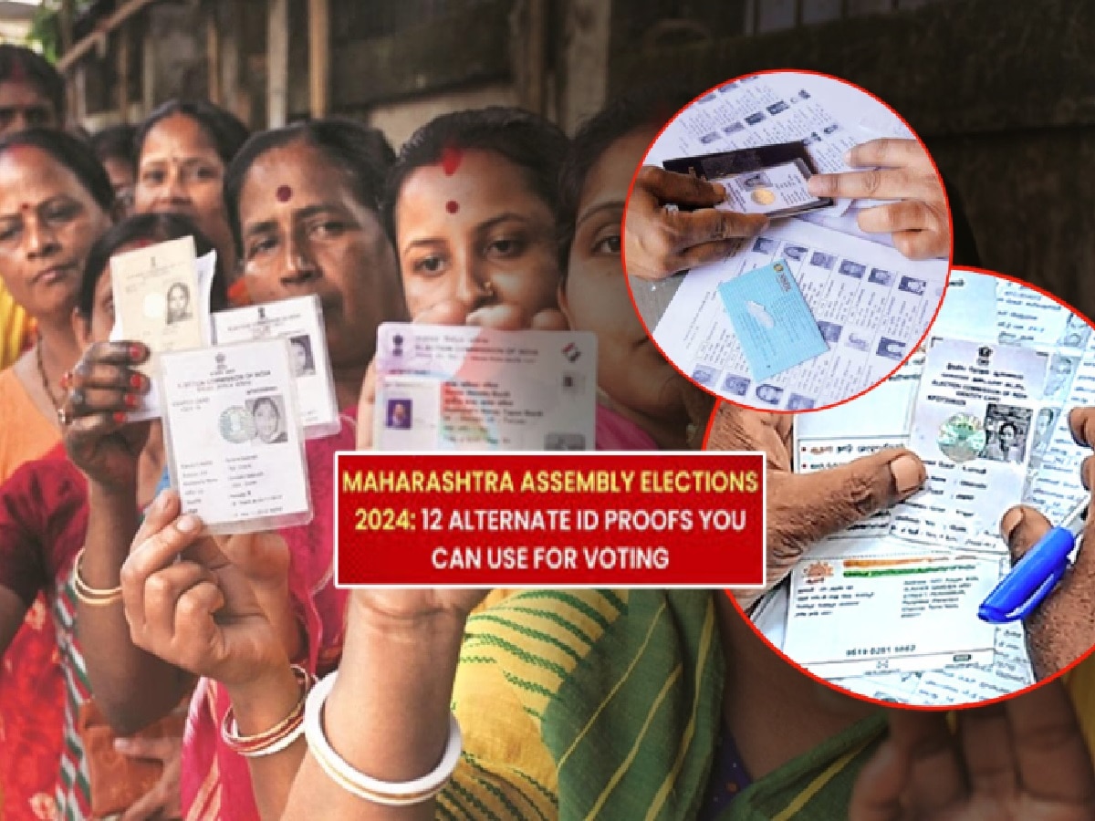 Voter ID नसेल तर 'या' 12 पैकी कोणताही 1 पुरावा दाखवून करता येईल मतदान; मोबाईल न्यायचा की नाही?