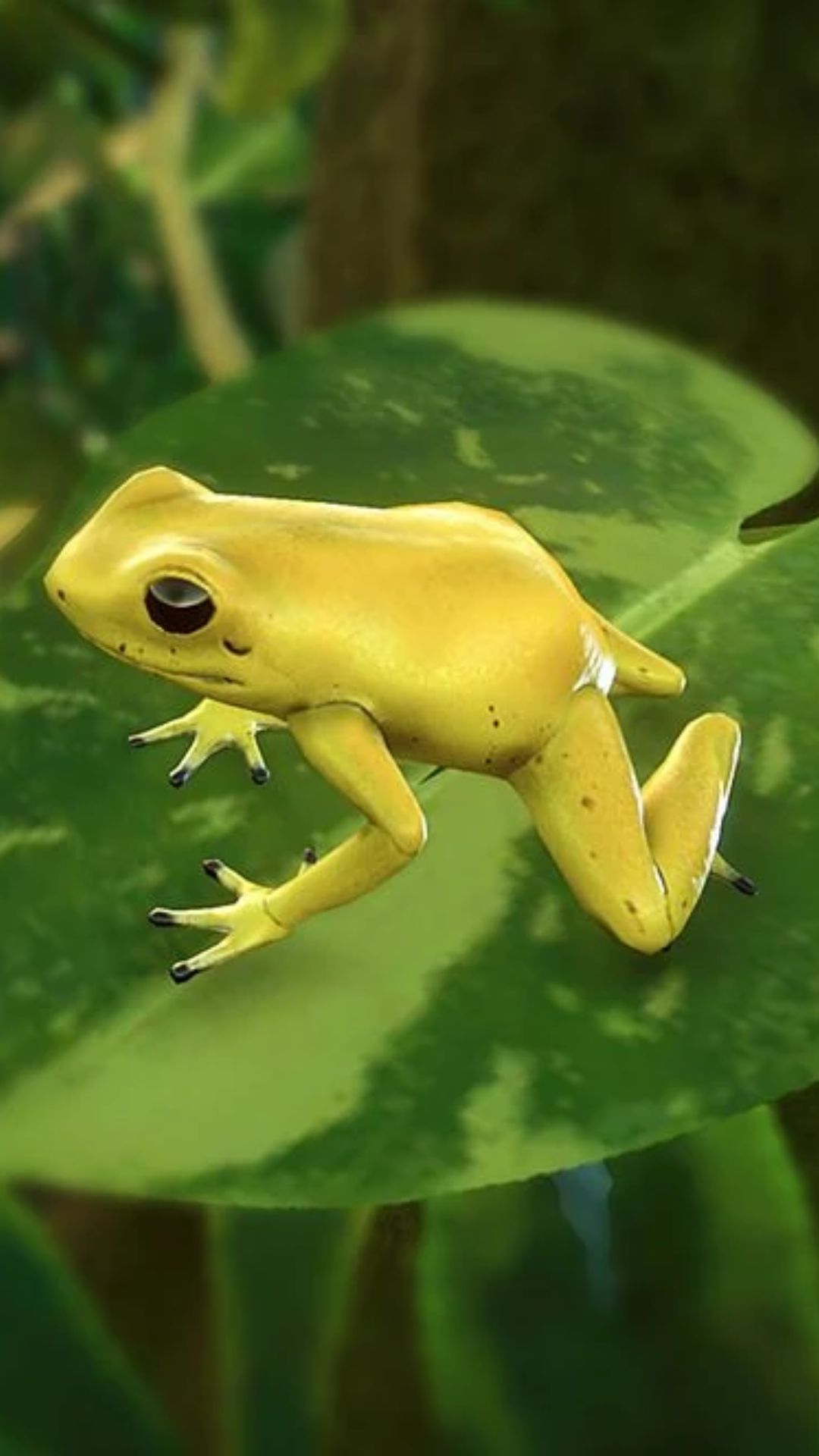 golden poison frog whose touch can kill a human