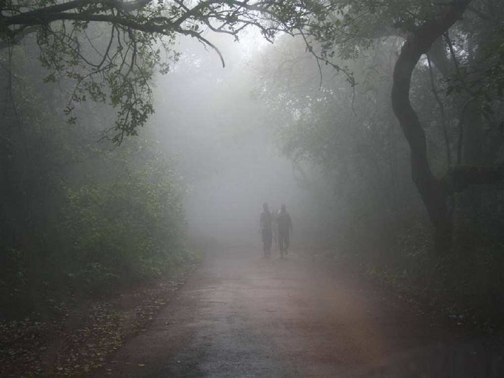 Maharashtra Weather News : देशासह राज्यात हुडहुडी; तापमानात लक्षणीय घट, आकडा पाहूनच म्हणाल, किती हा गारठा….