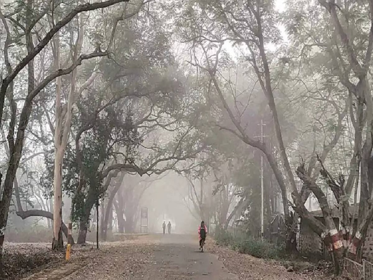 आठवड्याच्या शेवटी खुशाल करा हिवाळी सहलीचा प्लॅन; कोणत्या भागांमध्ये वाढणार थंडीचा कडाका? title=