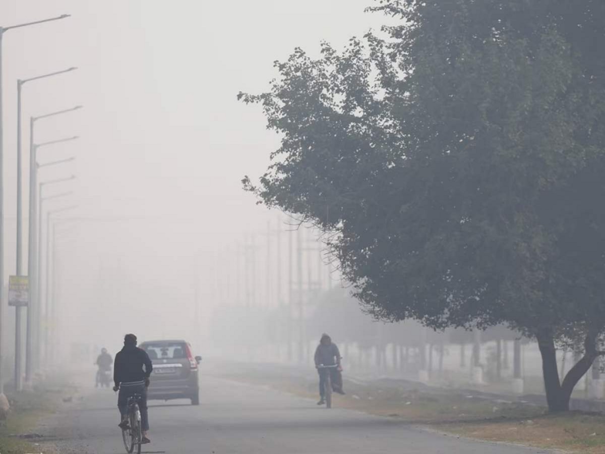 Maharashtra Weather News : दाट धुकं अन् कडाक्याची थंडी; राज्याच्या कोणत्या भागांमध्ये तापमानात घट? title=