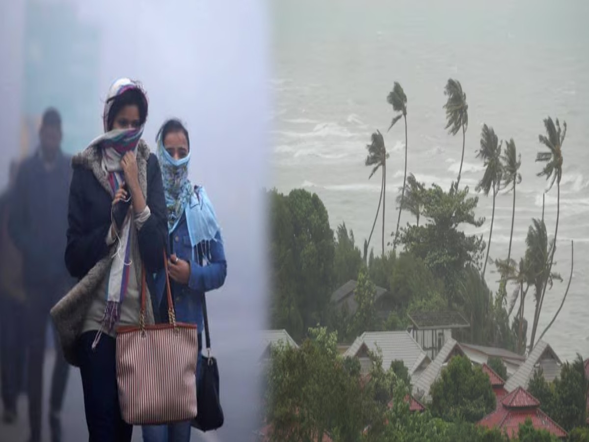 Maharashtra Weather News : मुंबईत गारठा; कोकणासह राज्याच्या कैक भागांमध्ये हुडहुडी, 'इथं' मात्र वादळी पावसाचा इशारा