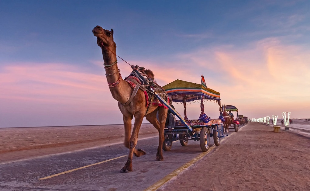 how rann utsav 2024 transforms Gujrat best tourist places travel news 