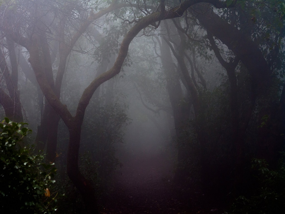 Weather News : महाबळेश्वरहून पुण्यात कडाक्याची थंडी; देशाच्या दक्षिण किनारपट्टीला चक्रीवादळाचा इशारा  title=