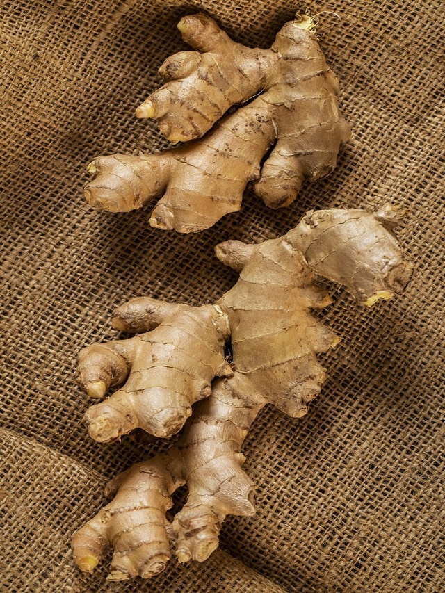 Ginger, Ginger Vegetable or Fruit, Ginger Vegetable or Spice, Is Ginger Vegetable, Is Ginger Spice, What is Ginger, आलं, आलं खाण्याचे फायदे, आलं फळ आहे की भाजी? 