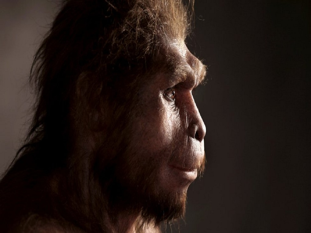 big invention new human species discovered by scientist 