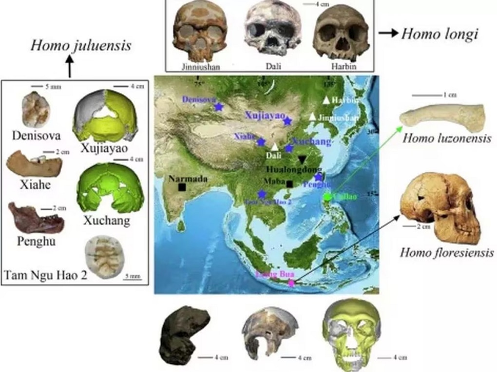 big invention new human species discovered by scientist 