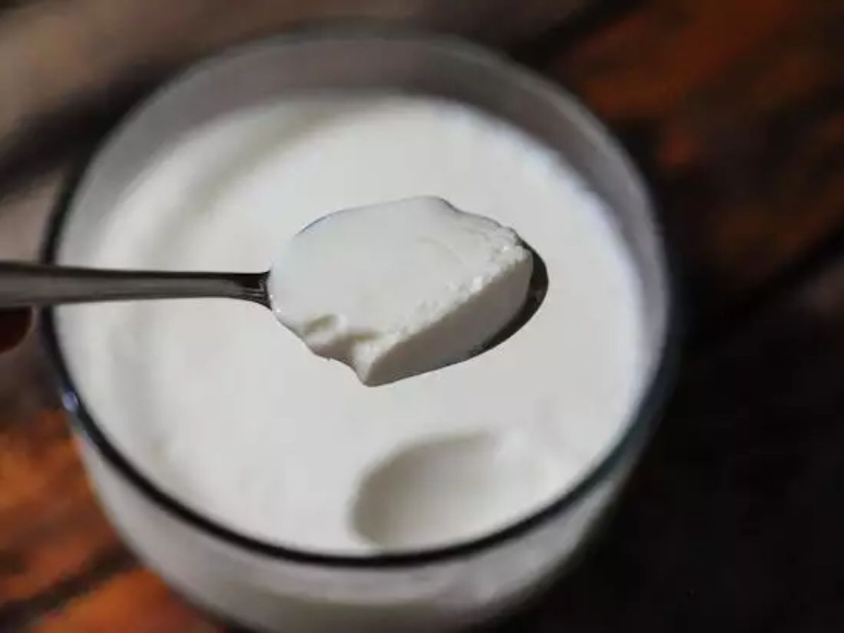 How to Make Thick Curd In Winter Useful Tips in marathi