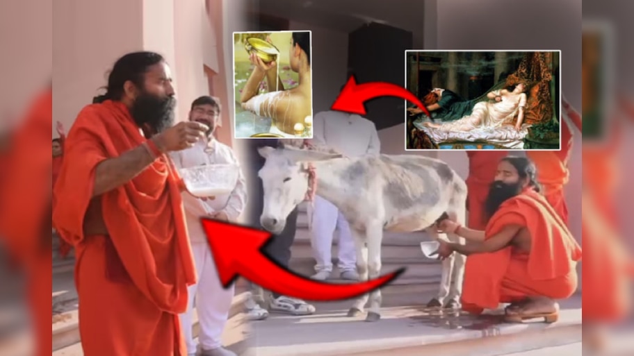 Video: 'ती गाढवाच्या दुधाने अंघोळ करायची कारण..'; दूध काढल्यानंतर बाबा रामदेवांचा दावा