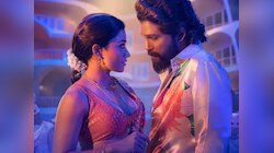 दुसऱ्याच दिवशी 'पुष्पा 2'ने रचला इतिहास, मोडले सर्व रेकॉर्ड, केली 'इतकी' कमाई