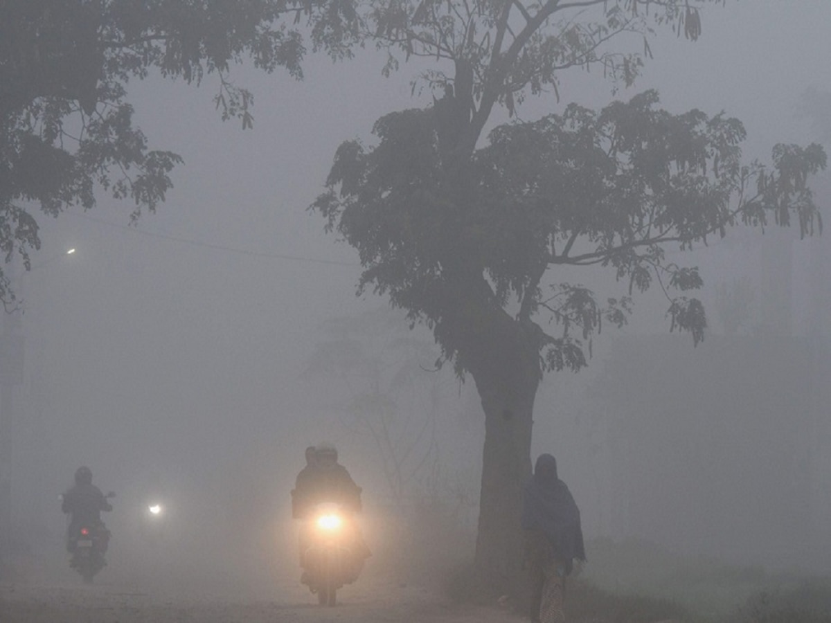 Maharashtra Weather News : मुंबई, महाराष्ट्रासह देशात रेकॉर्ड ब्रेक थंडी; तापमानाचा निच्चांकी आकडा पाहूनच दातखिळी बसेल  title=