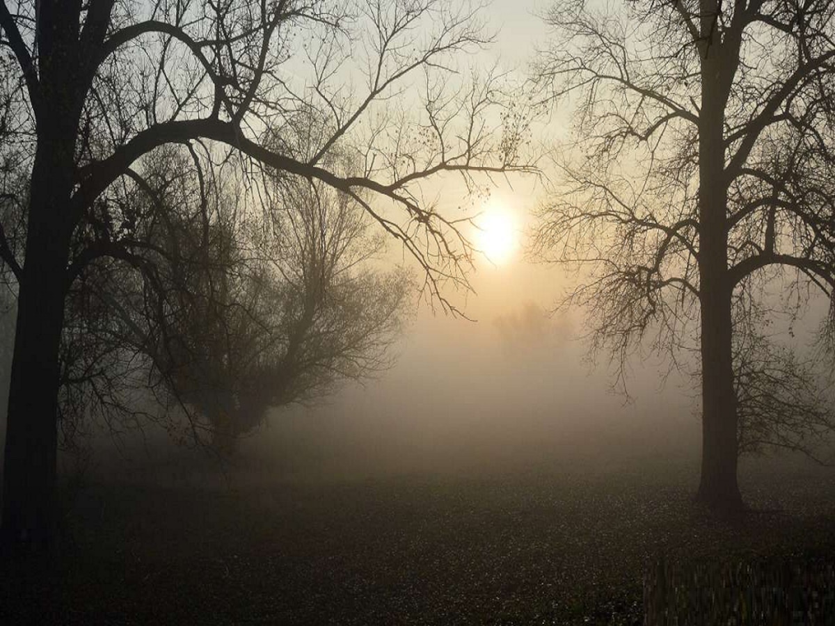 थंडी, ऊन, वारा आणि पाऊस... राज्यात एकाच वेळी सर्व ऋतूंचा अनुभव; कधीपासून वाढणार गारठा? title=