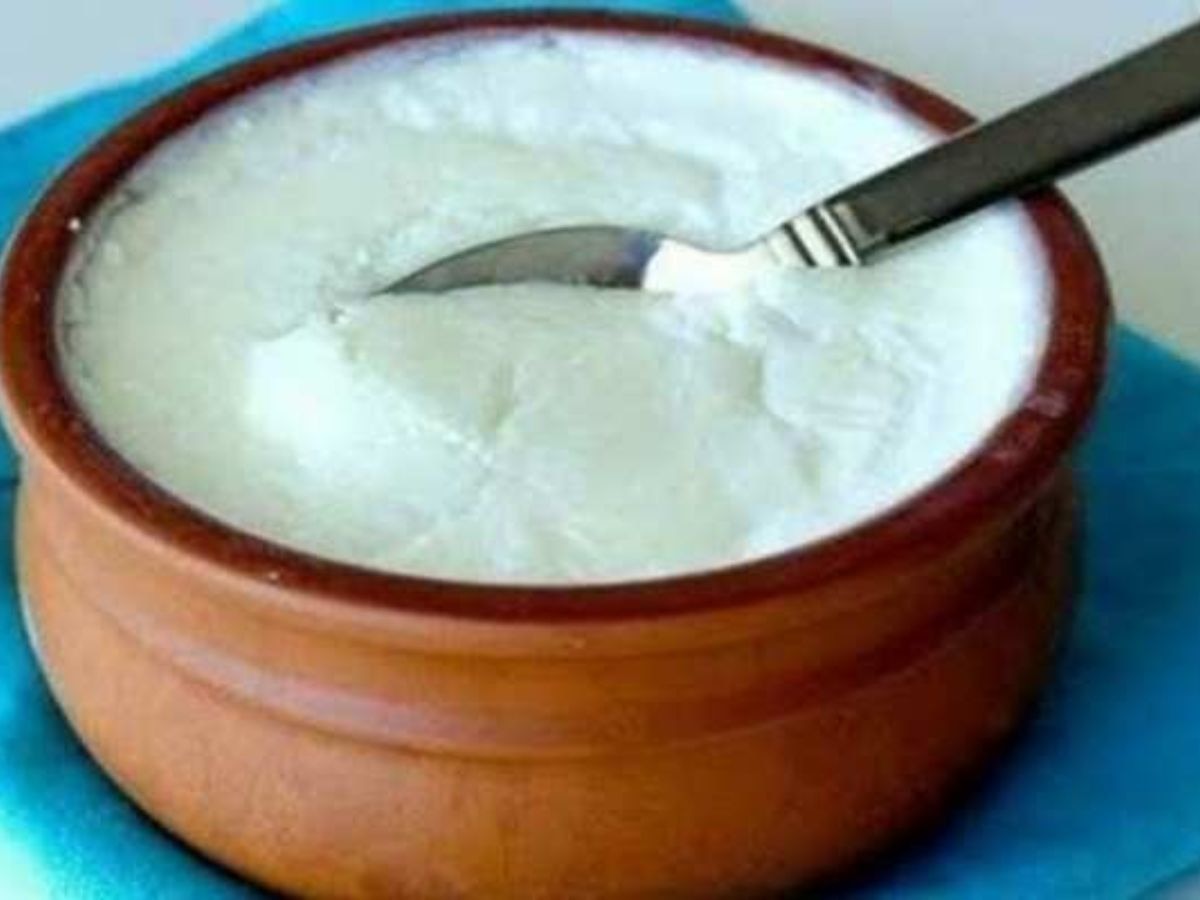 Curd In Winter: हिवाळ्यात दही खाणं कितपत योग्य? काय आहे तज्ज्ञांचे मत? title=