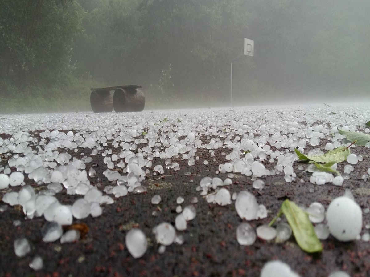 Maharashtra Weather News : गारपिटीचा ऑरेंज अलर्ट; राज्याच्या कोणत्या भागांना अवकाळी झोडपणार?  title=