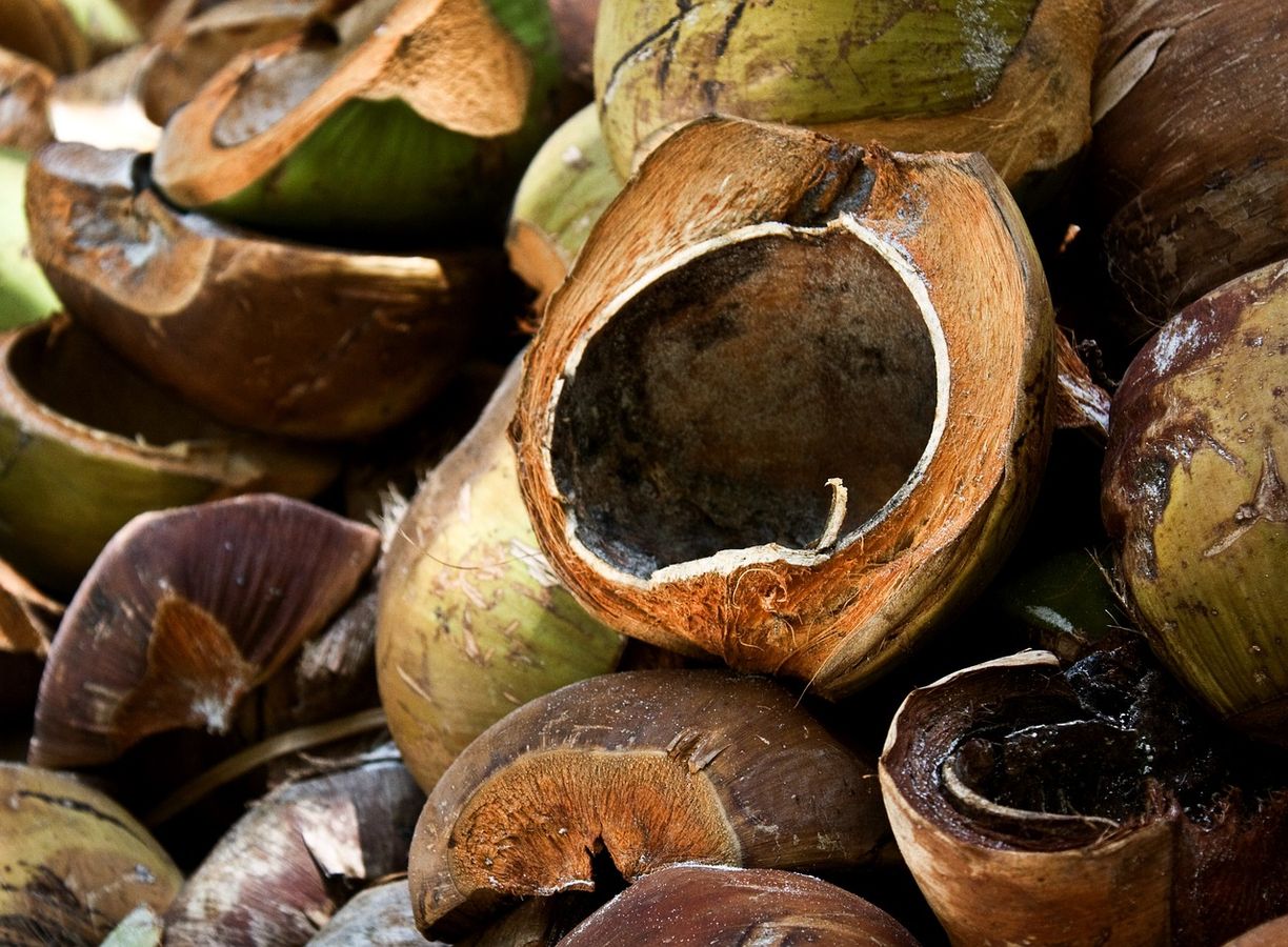 Coconut husk is very expensive and india export it in large amount