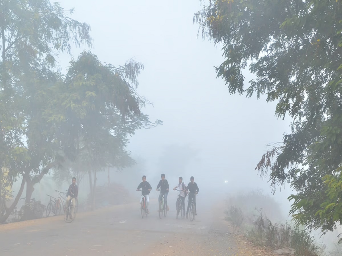 Maharashtra Weather News : यंदाच्या वर्षातील शेवटचं हवामान वृत्त; आजचा दिवस बोचऱ्या थंडीचा की अवकाळीचा?  title=