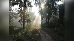 Maharashtra Weather News : पहाटे धुकं, दुपारी उकाडा, रात्री थंडी; तापमानातील चढ- उताराचा हवामानावर विपरित परिणाम 