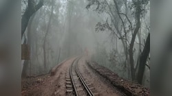 थंडी RETURNS; कोणत्या भागात वाढणार गारठा? काश्मीरपासून विदर्भापर्यंतचा अंदाज एका क्लिकवर 