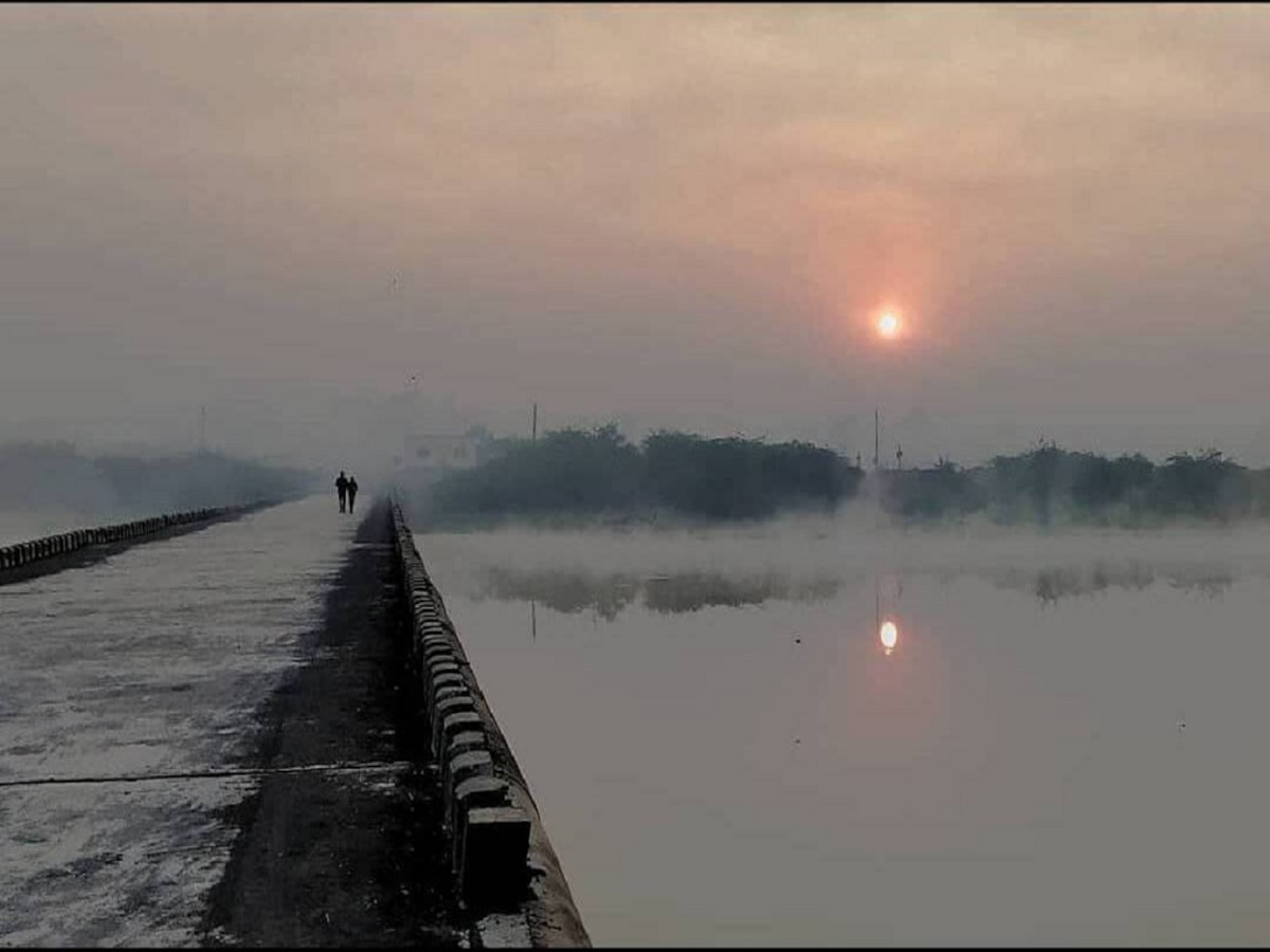 Maharashtra Weather News : थंडीमुळं देशभरातील जनजीवन विस्कळीत; राज्यातही थंडीची लाट आणखी तीव्र होणार  title=