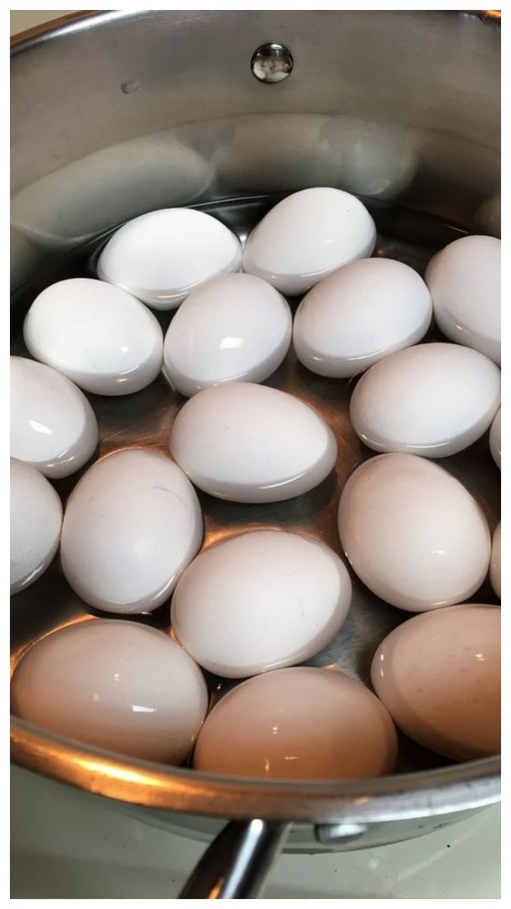 fake egg, local egg, identify local egg, identify fake egg, real and fake eggs, asli aur nakli ande, lifestyle, lifestyle news, lifestyle news in marathi, 